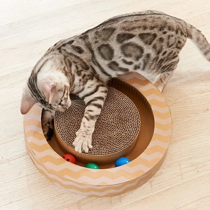 極上の爪とぎタイムをプレゼント