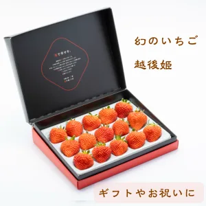 苺の花ことば ギフトいちご大粒越後姫S350g9〜18粒