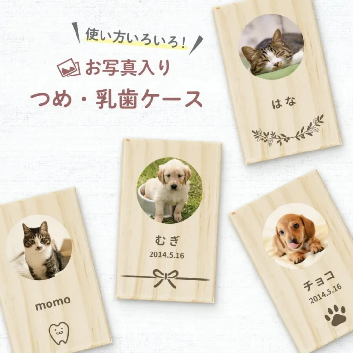 猫ちゃんの成長を記録!「メモリアルボックス」