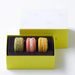 Pierre Hermé Paris／ピエール・エルメ・パリ マカロン 3個詰合わせ