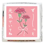 【母の日】カーネーション 元気でいてね
