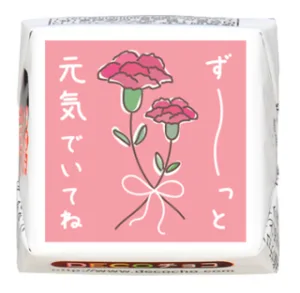 DECOチョコ 【母の日】カーネーション 元気でいてね