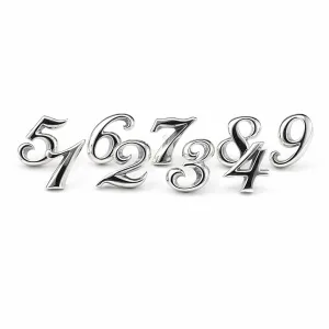 KING LIMO／キングリモ LUCKY NUMBER PIERCE