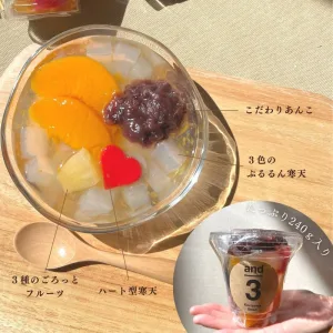郡山製餡and3  あんみつ12個セット