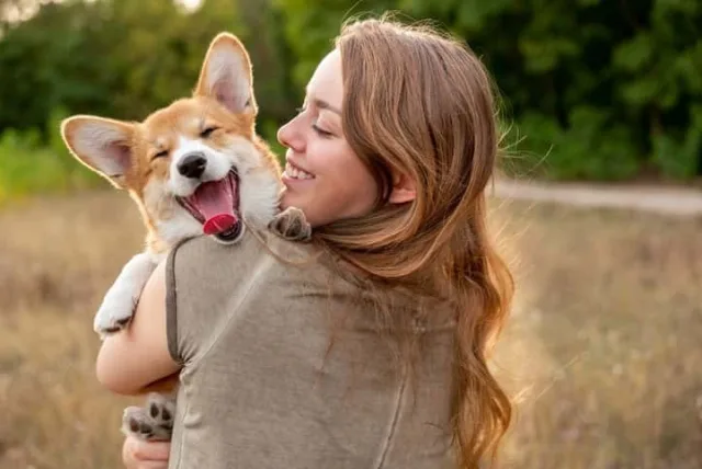 犬好きさんへのプレゼント！喜ばれるおしゃれグッズおすすめ23選
