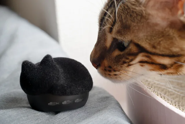 毛並みふわふわ!猫のかたちの完全ワイヤレスイヤホン radius/ラディウス「NEKO true wireless earphones ふわふわフロッキーver.」