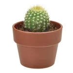 カプセルを開けたら、すぐに始められる！