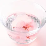 ふんわりとサクラ咲く
