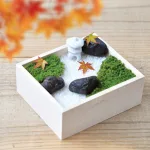 苔箱庭キット 苔盆