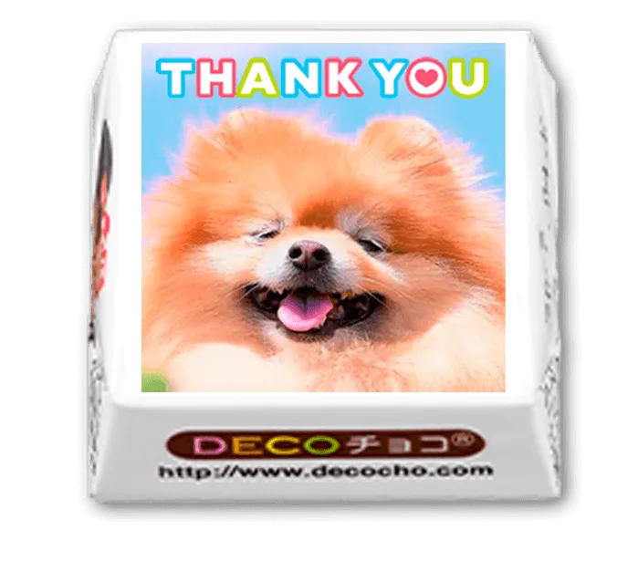 世界にひとつだけの「DECOチョコ」