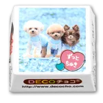 世界にひとつだけの「DECOチョコ」