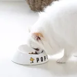 傾斜付きでごはんを食べやすい！
