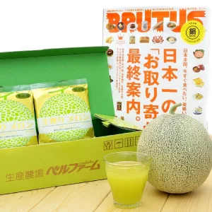 ベルファームつくば 国産メロン 100%すり搾り 冷凍ジュース 100g×15袋入
