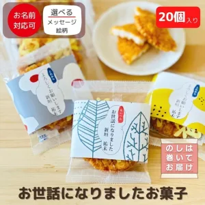 おせわになりましたお菓子 揚げせんべい 銀座餅