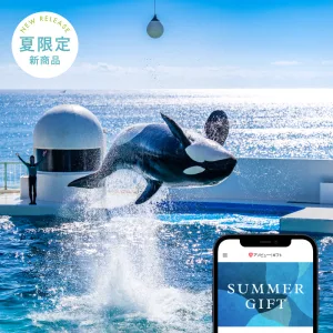 アソビュー！ギフト 夏ギフト