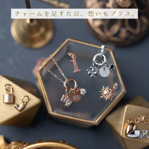 LAUSS／ラウス チャーム+（プラス） ペアネックレス