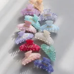星座バンスクリップ